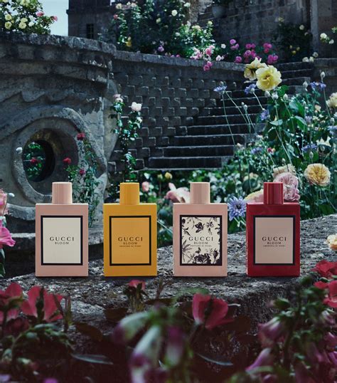 gucci bloom profumo di fiori opinie|gucci bloom smell.